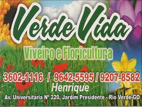 Vida Verde Floricultura e Paisagismo 